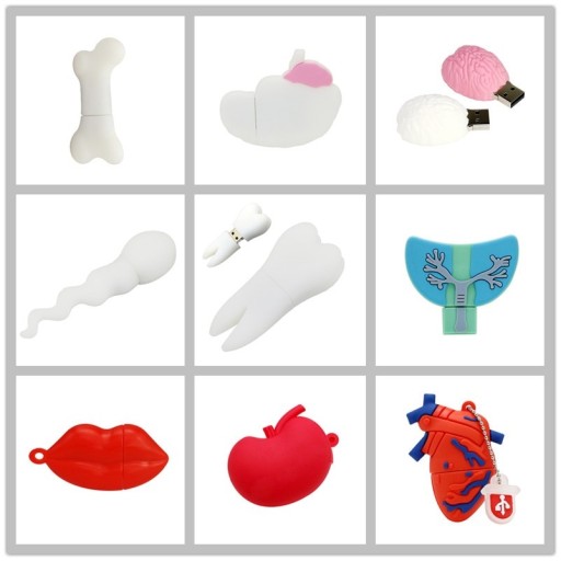 Pen drive partes do corpo humano