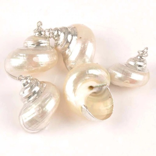 Pendentif avec coquillage marin 5 pcs
