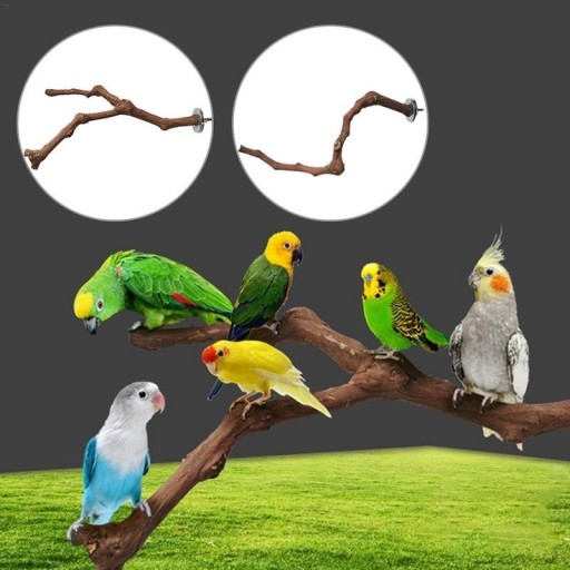 Perchoir en bois naturel pour oiseaux