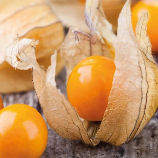 Perui Mochynya Magok Physalis peruviana Colombia Select 50 db Ehető narancssárga gyümölcsök papírcsomagolásban Ágyásra és üvegházba