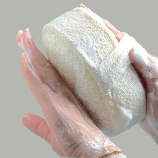 Pesusieni C16