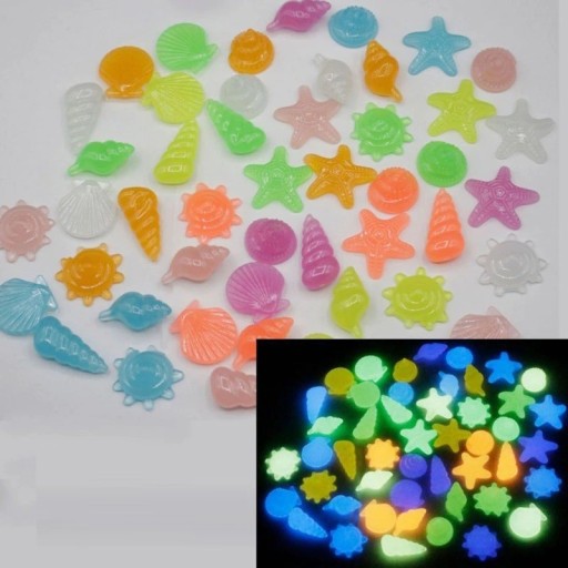Piedras decorativas luminosas de concha marina