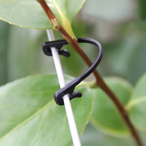 Pinces pour la fixation des plantes 100 pcs