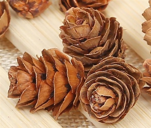 Pine Cones 20 pcs
