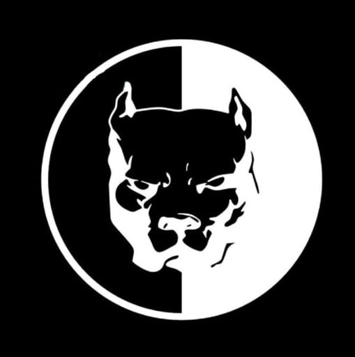 Pitbull - autó matrica