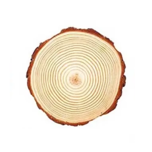 Plăcuță din lemn natural Ø 12-14 cm Grosime 1 cm Suport rotund din lemn pentru decorațiuni Fabricarea lumânărilor Meșteșuguri Nuntă rustică