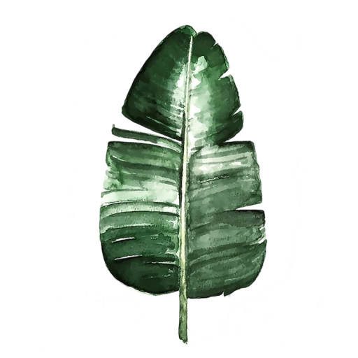 Plakát na stěnu banánový list 20 × 25 cm plátno tisk zelený botanický motiv dekorace do interiéru menší formát bez rámu