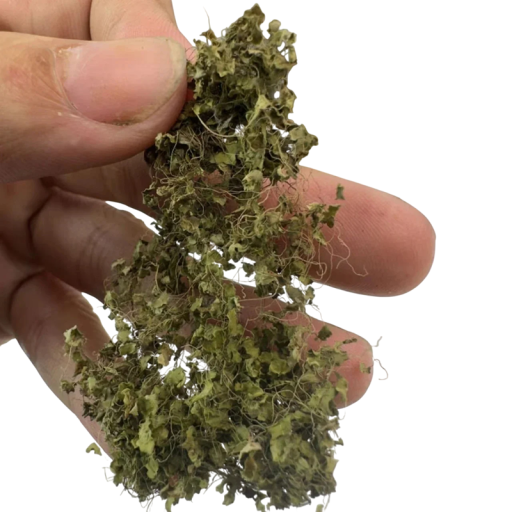 Plantas trepadeiras artificiais Verde decorativo para dioramas e paisagens em miniatura