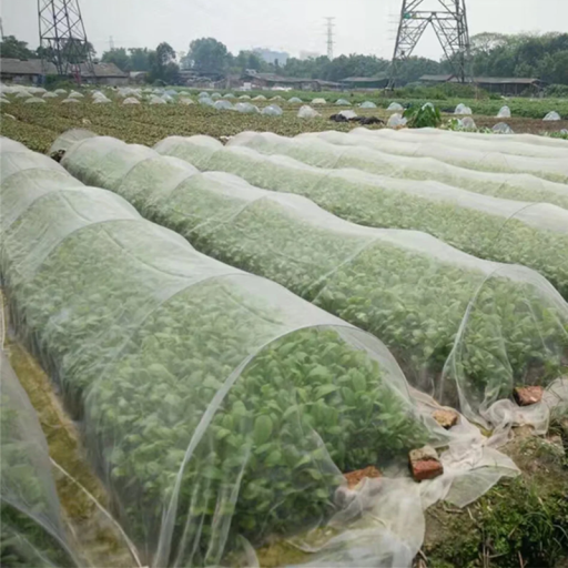 Plasă de insecte pentru ronduri de flori 3x15 m Plasă de protecție albă din polietilenă Găuri 1,3 mm Împotriva dăunătorilor Protecția plantelor Plasă de insecte pentru grădină
