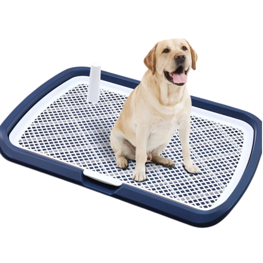 Plastic Dog Toilet 65x50 cm with Removable Mesh Reusable Toilet Tray for Pets Pet Supplies