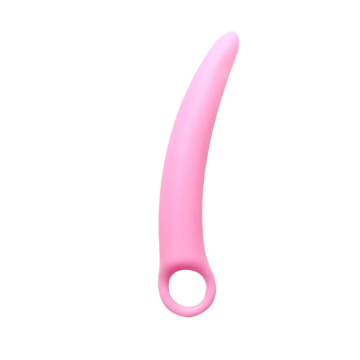 Plug anale in silicone rosa 2,4 x 16,9 cm con maniglia rotonda forma ergonomica superficie liscia facile manutenzione gel lubrificanti speciali confezione discreta