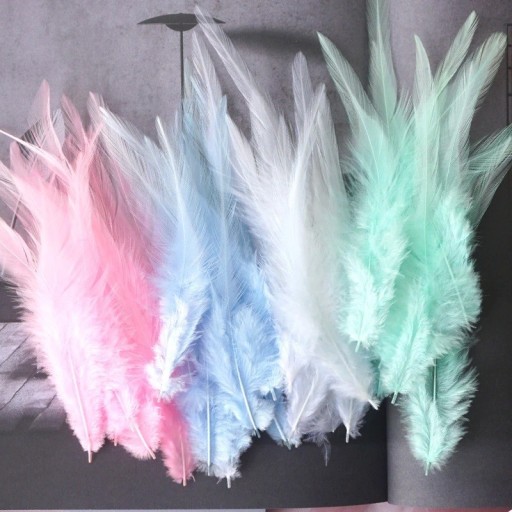 Plumes de coq décoratives 10-15 cm 50 pcs