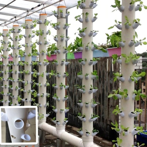 Pohárik na hydroponické pestovanie 10 ks