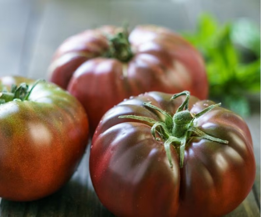 Pomidory kijowe Black Krim​​​​​​​ Solanum lycopersicum Černý Krim Łatwe w uprawie indoor, outdoor, na grządkach 100 nasion