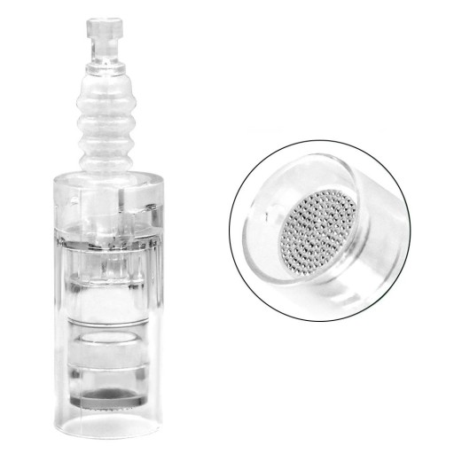 Pontos de agulha para dermapen em estojo protetor 10 pcs Cabeçotes de agulha nano redondos intercambiáveis para caneta de microagulhamento Recargas para ferramenta de mesoterapia Compatível com a maioria dos dermapens