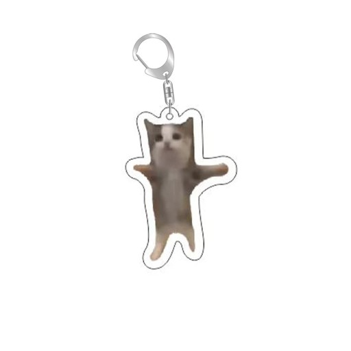 Portachiavi 55 mm Resina Gatto meme divertente Ciondolo per chiavi zaino borsa Decorazione per chiavi Regalo originale per amanti dei gatti