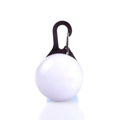 Porte-clé lumineux pour collier