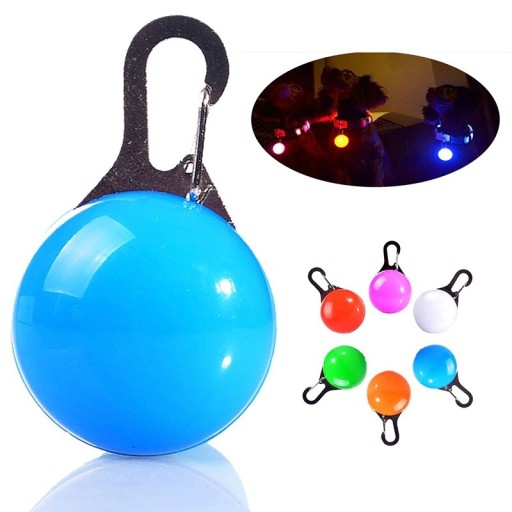 Porte-clé lumineux pour collier