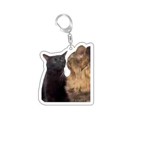 Porte-clés 55 mm Résine Chat mème Drôle Pendentif pour clés sac à dos sac à main Décoration pour clés Cadeau original pour enfants et adultes
