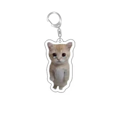 Porte-clés 55 mm Résine Chat Meme Pendentif amusant pour clés Décoration pour sac à dos sac à main Cadeau original pour enfants et adultes