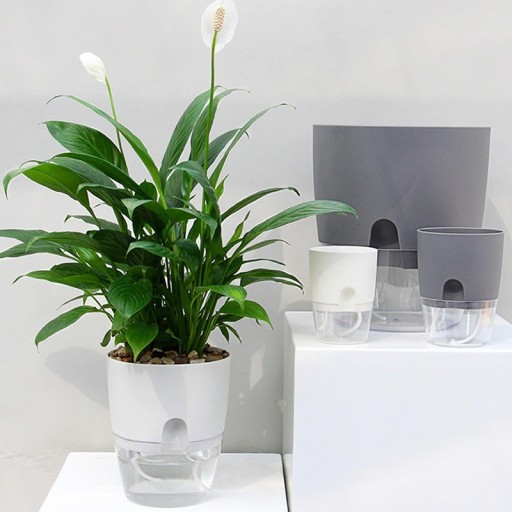 Pot de fleurs avec soucoupe