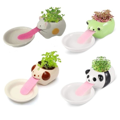 Pot de fleurs en céramique avec soucoupe