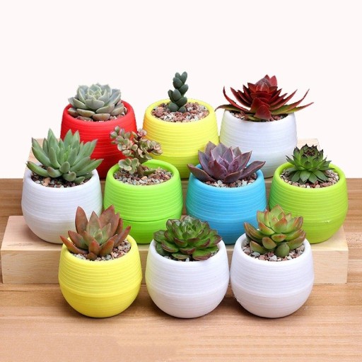 Pot de fleurs en plastique avec réservoir d'eau