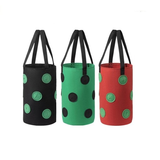Pot de fleurs pour fraises