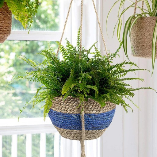 Pots de fleurs suspendus H969