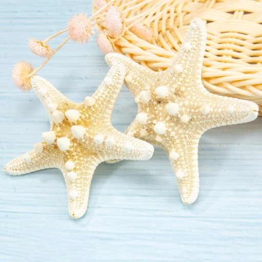 Přírodní mořská hvězdice