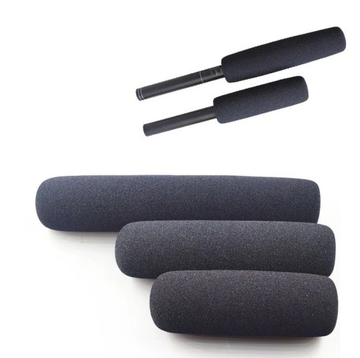 Protection de microphone contre le vent