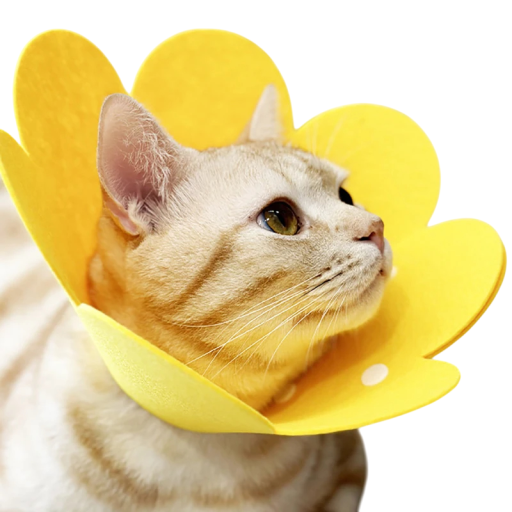 Protective Collar for Cats Yellow Flower Shape Size 1-3 kg M Post-Operative Collar Adjustable Circumference Felt Collar Against Licking