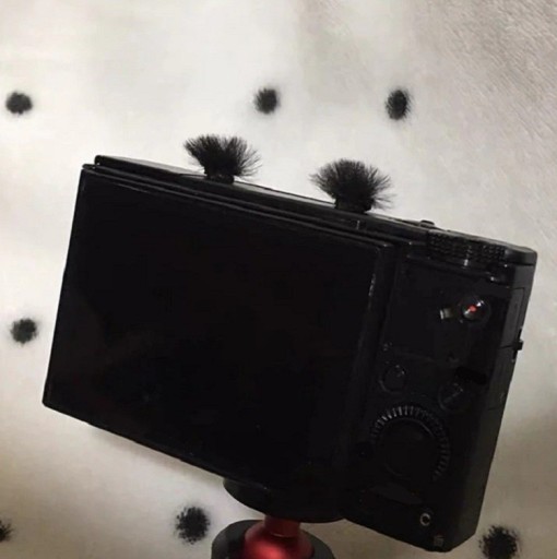 Protezione antivento per microfono della fotocamera 10 pz