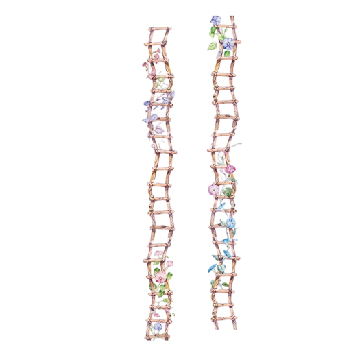 Průhledná dekorativní páska 2,5 x 200 cm s motivem květinového žebříku Jemná průhledná páska s květinami pro kreativní zdobení a dekorace