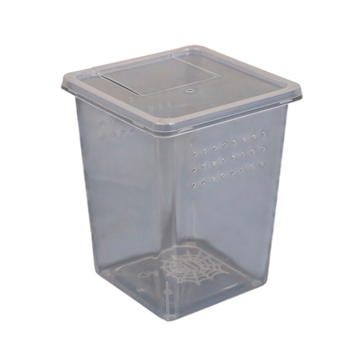 Průhledná plastová krabička na přepravu hmyzu s větracími otvory 11 x 8 cm plast průhledná pro chov a pozorování