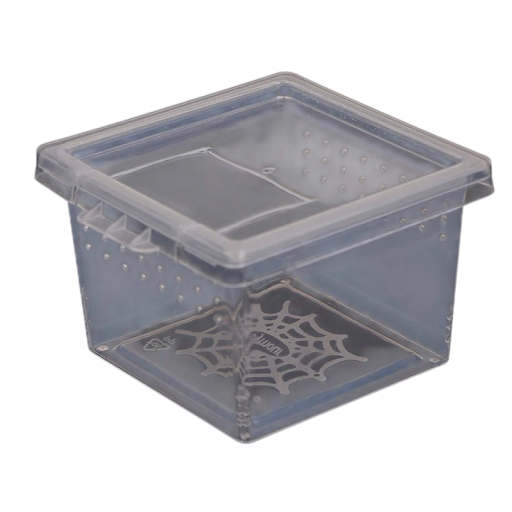 Průhledná plastová krabička na přepravu hmyzu s větracími otvory 5,7 x 5,7 x 4,2 cm plast průhledná pro chov a pozorování