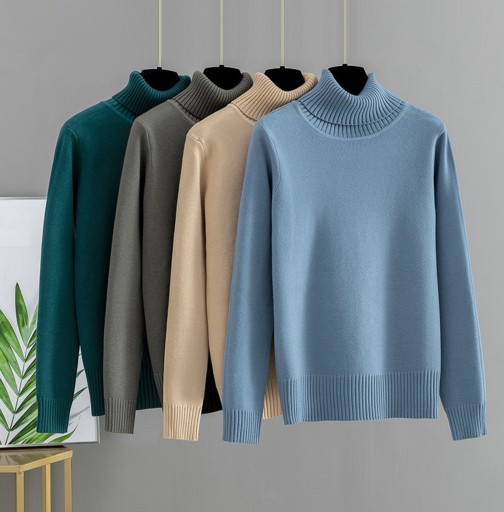 Pull à col roulé pour femmes G227