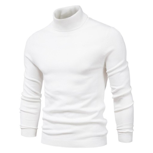 Pull homme à col roulé F171