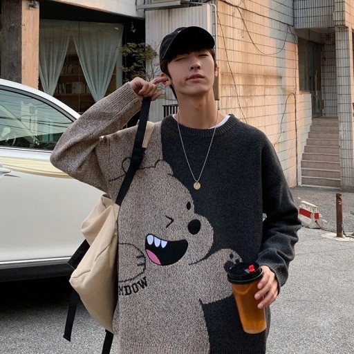 Pull homme avec ours F287