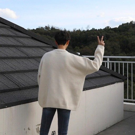 Pull homme F221