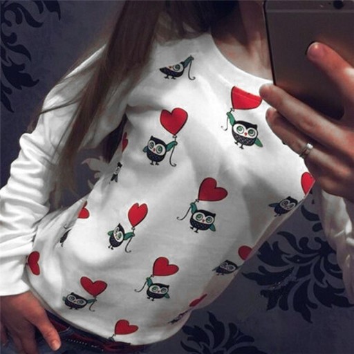 Pull pour femmes avec des hiboux