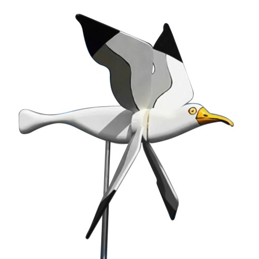 Puutarhakoriste lokki