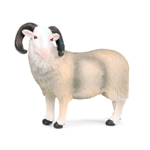 Ram-hahmo A1066