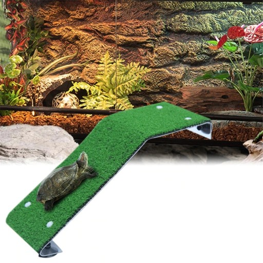 Rampe pour tortues pour terrarium