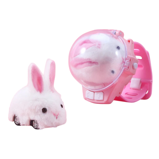 RC auto met horloge afstandsbediening 2,4 GHz kinderspeelgoed met LED verlichting mini raceauto met konijnenthema oplaadbare auto voor kinderen van 3–12 jaar plastic