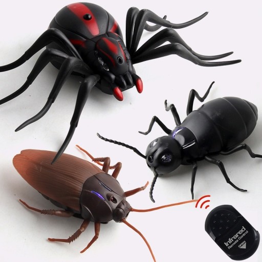 RC Beetle