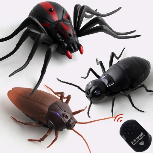 RC scarabée