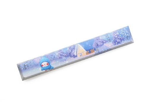 Replaceable Spacebar Key with Print K402