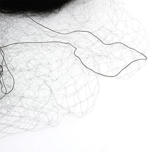 Rete protettiva per uccelli