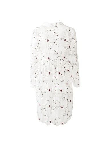 Robe transparente à manches longues